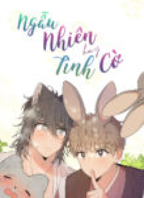Ngẫu Nhiên Hay Tình Cờ